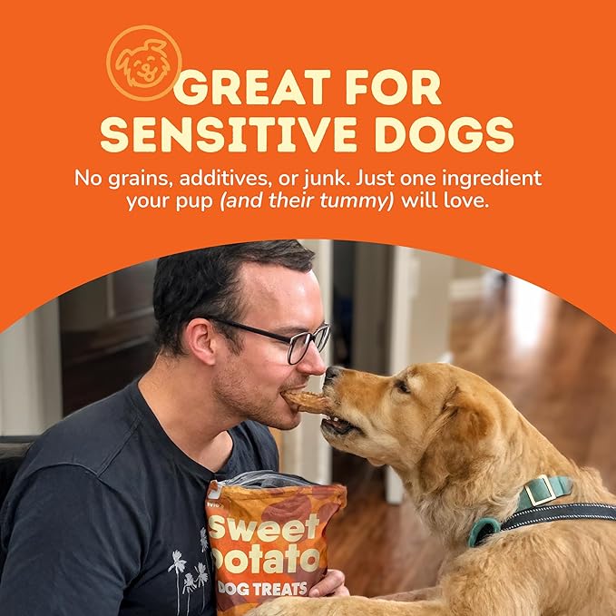 Davie's Sweet Potato Dog Treats - Healthy Treats Made in USA Only, Natural Treats, Healthy Dog Chews, Low Fat Treats, 0.5 lb. Bag