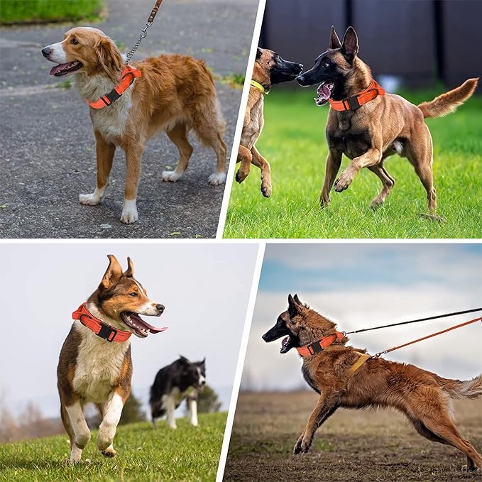 KCUCOP Tactical Dog Collar for Medium & Large Dogs - Military Nylon Heavy Duty Collar with Handle, Reflective Strip & Metal Buckle for Training, Outdoor (Orange Reflective, Medium)