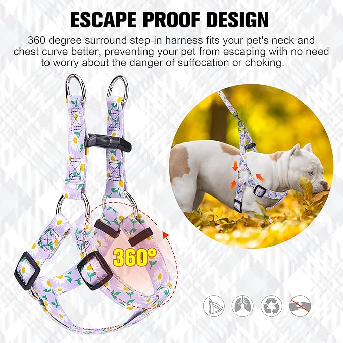 BEAUTYZOO No Pull Dog Harness and Leash Set - Adjustable Step-in Puppy Harness for Small Medium Large Dogs, Escape Proof Soft Nylon Vest with Double D Ring for Walking Running Training, Purple M