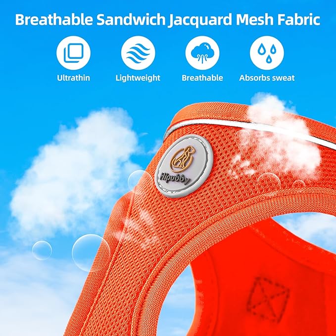 Dog Harness and Leash Set, No Pull Soft Mesh Pet Harness for Small Medium Dogs, Cats - Step in Adjustable Reflective Puppy Harness with Buckle and Double D-Rings - Orange, XXS