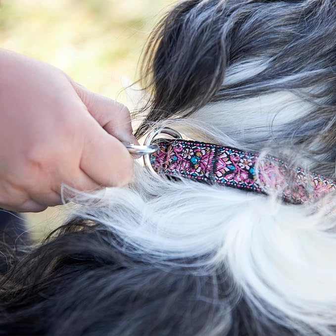 Dog Collar for Small Medium & Large Dogs - Woven Pattern on Long Lasting, Adjustable and Strong Puppy Quick Release Buckle, Quality Pink Collar – Get It Now!