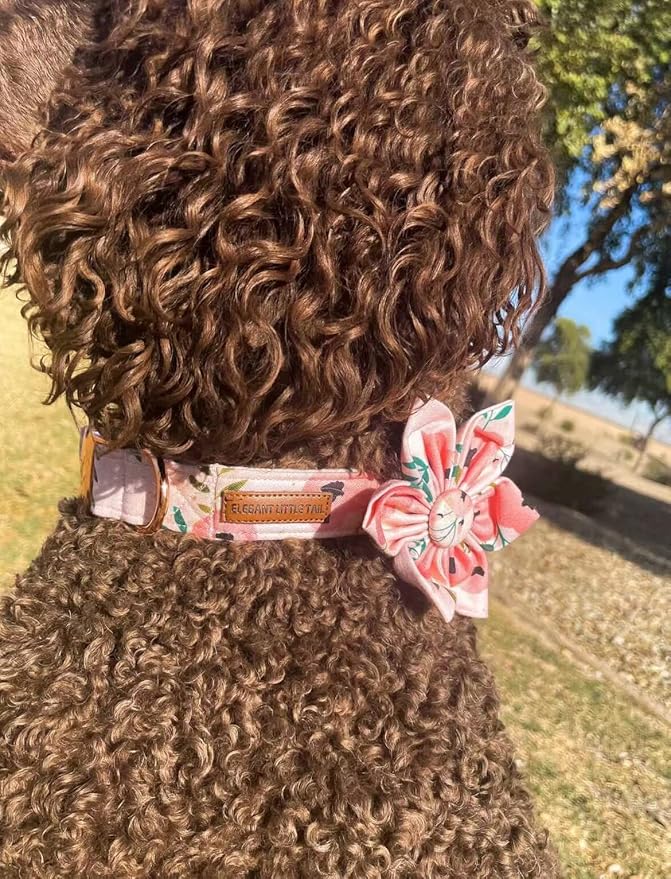 Elegant little tail Flower Girl Dog Collar for Female Dogs, Pet Collar Adjustable Dog Collars with Flower Gift for Small Dogs and Cats