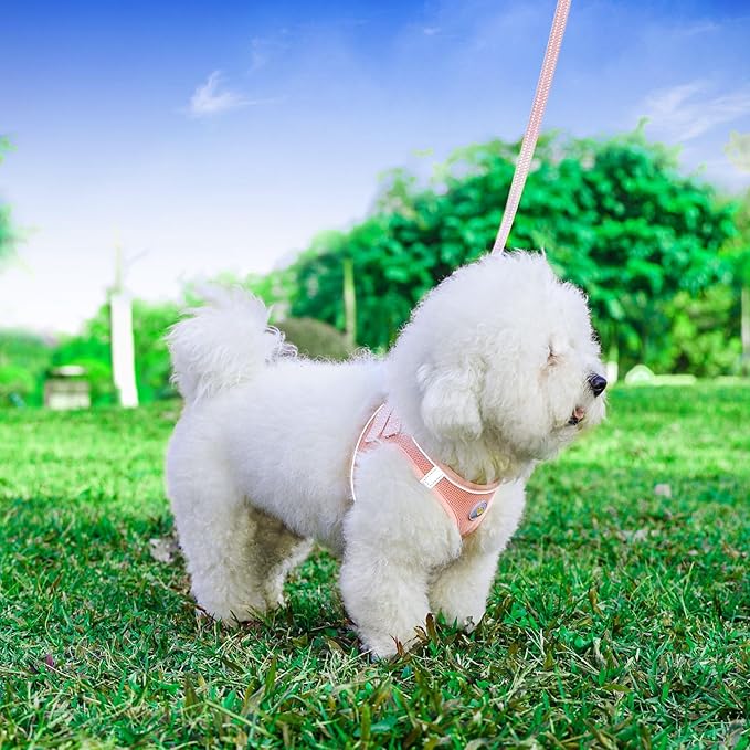 Dog Harness and Leash Set, No Pull Soft Mesh Pet Harness for Small Medium Dogs, Cats - Step in Adjustable Reflective Puppy Harness with Buckle and Double D-Rings - Pink, L