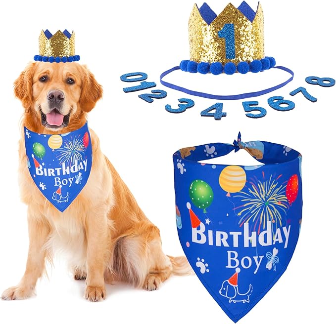 ADOGGYGO Dog Bandana Hat Set for Birthday Party Supply, Boy Girl Pet Birthday Scarf for Extra Large Dog (X-Large, Blue)