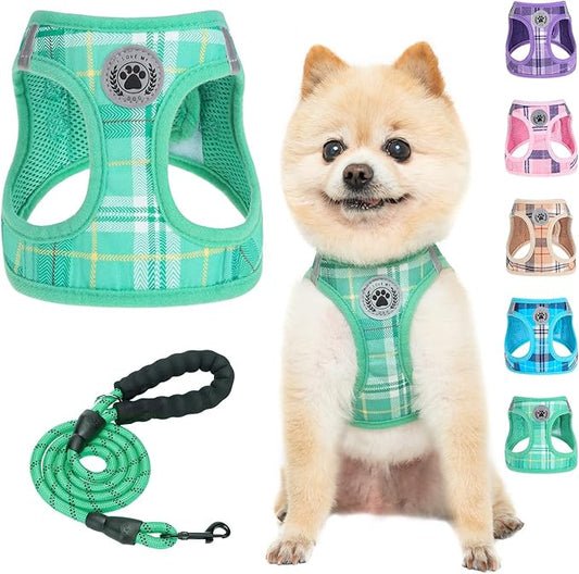BEAUTYZOO Small Dog Harness and Leash Set,Step in No Choke No Pull Soft Mesh Dog Harnesses Reflective for Extra-Small/Small Medium Puppy Dogs and Cat, Plaid Dog Vest Harness for XS S Pet,Turquoise XXS