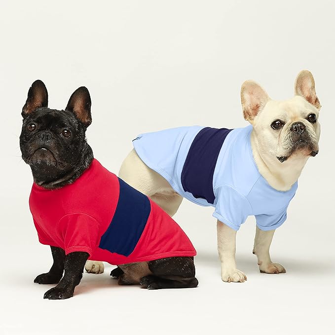 Fitwarm 3 Pack Color Block Striped Dog Shirt, Summer Dog Clothes for Small Dogs, Breathable Lightweight Pet Tshirt with Sleeves, Cat Outfit, Red, Blue, Grey