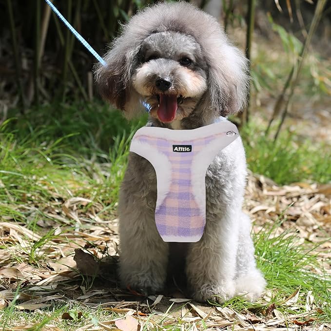 AIITLE Reflective Classic Plaid Dog Vest Harness and Leash Set - Adjustable Plush Dog Harness with Safety Buckle - Cold Weather Dog Harness for Indoor and Outdoor Use Purple XXXS