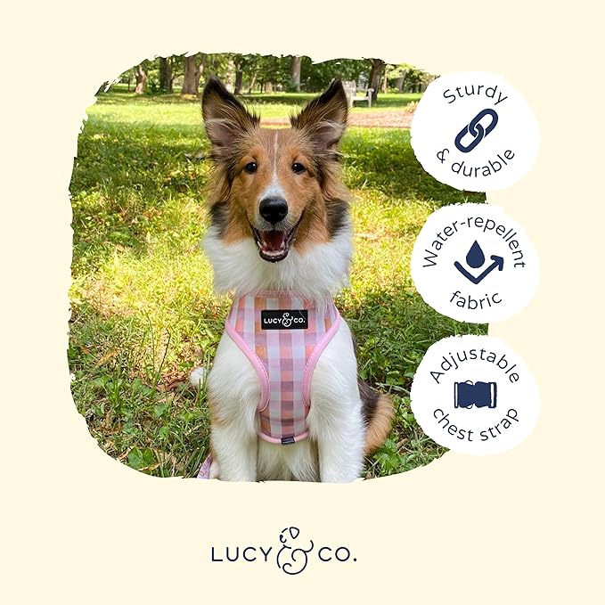 Lucy & Co. Pink Purple Daisy Checkered, Cute Reversible Dog Harness Walking Halter - Best Designer Pet Harnesses for XS - XL Dogs - Padded Adjustable Vest for Easy Walking (X-Large)