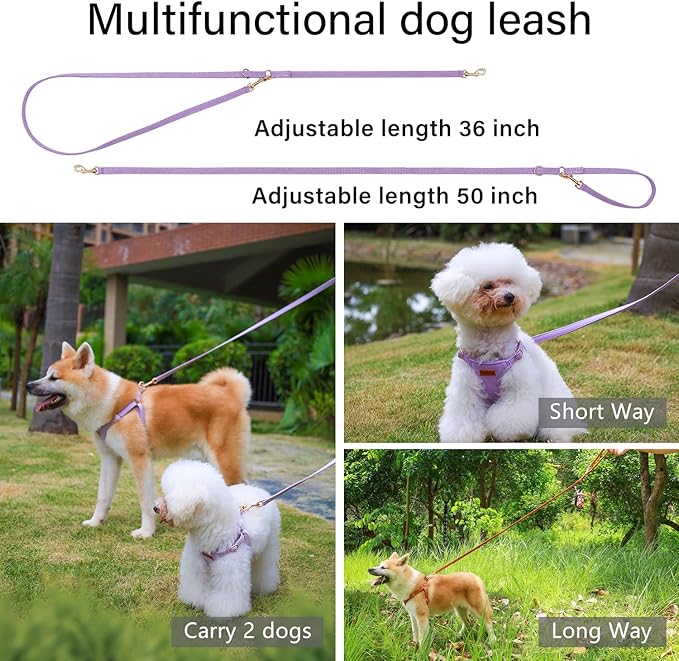 CHEDE No Pull Puppy Harness and Multifunction Dog Leash Set- 8 Colors Soft Adjustable No Choke Escape Proof Cute,Lightweight Pet Vest Harness for Small and Medium Dog (XXS, Purple)