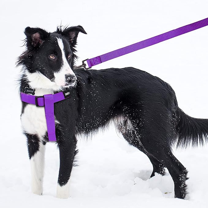 No Pull Dog Harness - Adjustable Step-in Harness & Leash Set for Small, Medium, Large Dogs - Escape Proof Soft Pet Harness for Walking, Training, Hiking, Outdoor Activities