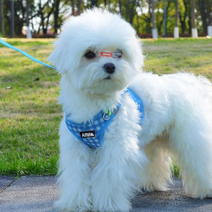 AIITLE Breathable Mesh Dog Vest Harness, No Pull Escape Proof Vest Harnesses with Reflective Bands, Adjustable Plaid Pet Outdoor Harnesses for Small and Medium Dogs Blue M