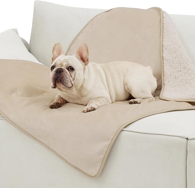 Bedsure Cat Blanket for Indoor Cats - Waterproof Calming Cat Blankets for Couch Protection, Sherpa Fleece Pet Blanket, Soft Plush Reversible Throw Furniture Protector, 40"x30", Cream