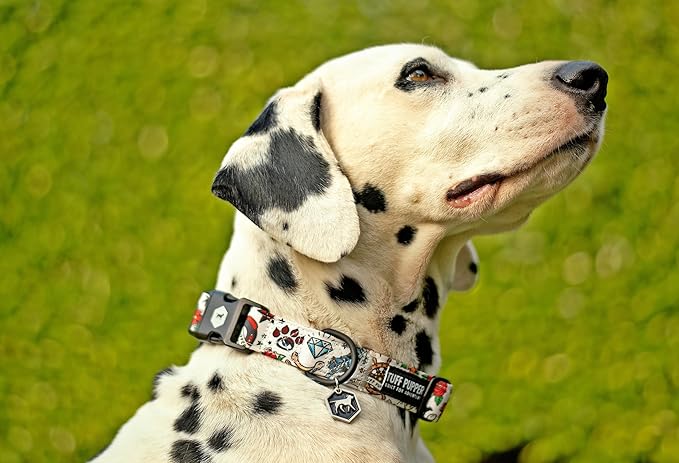 Tuff Pupper Premium Adjustable Dog Collar for Large Girl Dogs, Stylish Pattern Collars Designed in USA, Quick Release Buckle, RebelWhite Print for Female Dogs, Large (1 Inch Wide x 18-26 Inch Neck)
