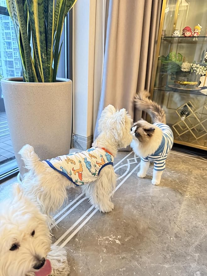 Dog Clothes Puppy Cute Dinosaur Shirt Pet Cotton Shirt Dog Vest Cat Clothes Dogs Boy Girl T Shirts for Small Dog Cat Teacup Chihuahua Yorkie (Dino Vest, X-Large)