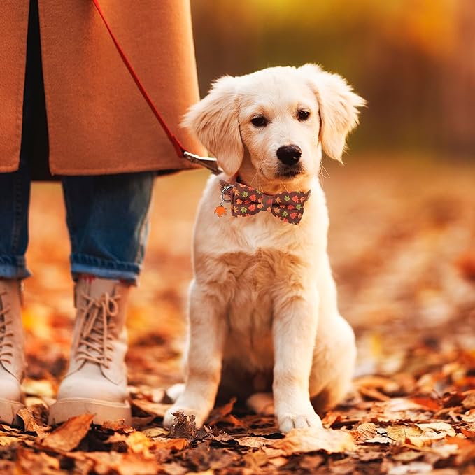 ADOGGYGO Fall Dog Collar with Bowtie, Adjustable, Brown, Maple Leaves Pattern, Halloween Thanksgiving Fall Bow Collars for Small Medium Large Dogs (Small)