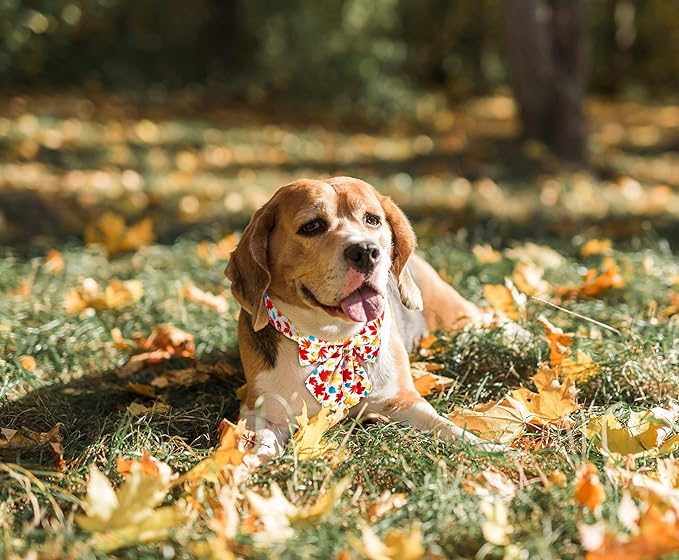 Tunkoo Autumn Fall Dog Collar with Elegant Bow Tie - Durable, Adjustable and Stylish Red Pet Collar, Available in Small Medium Large, M