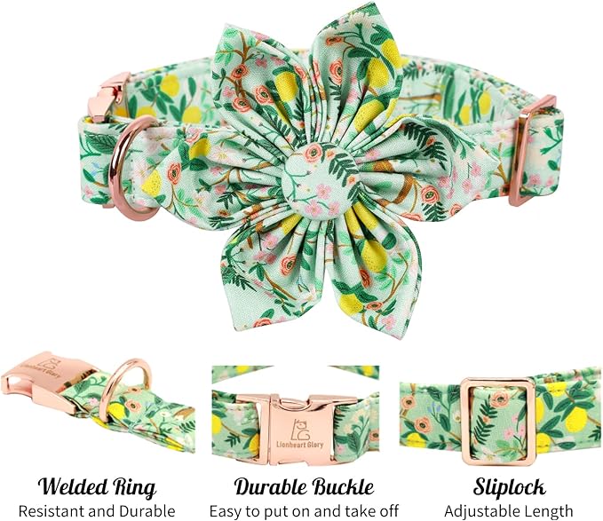 Lionheart Glory Cute Lemon Floral Pattern Adjustable Dog Collar for Medium Dogs