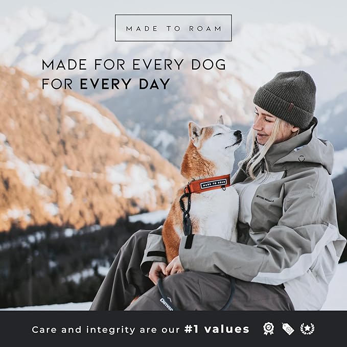 MADE TO ROAM Premium Everyday Dog Collar - Martingale Style No Pull Vegan Leather Collar, Heavy Duty and Lightweight for Small, Medium, Large Dogs (Michigan Autumn, Size 9)