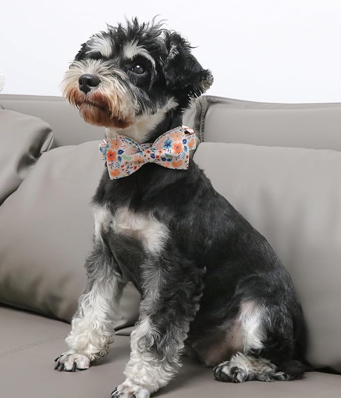 Unique Style Paws Cotton Dog Collar with Bow Floral Plaid Colorful Dog Collar with Bow Tie for Small Medium Large Dogs Pets Gifts