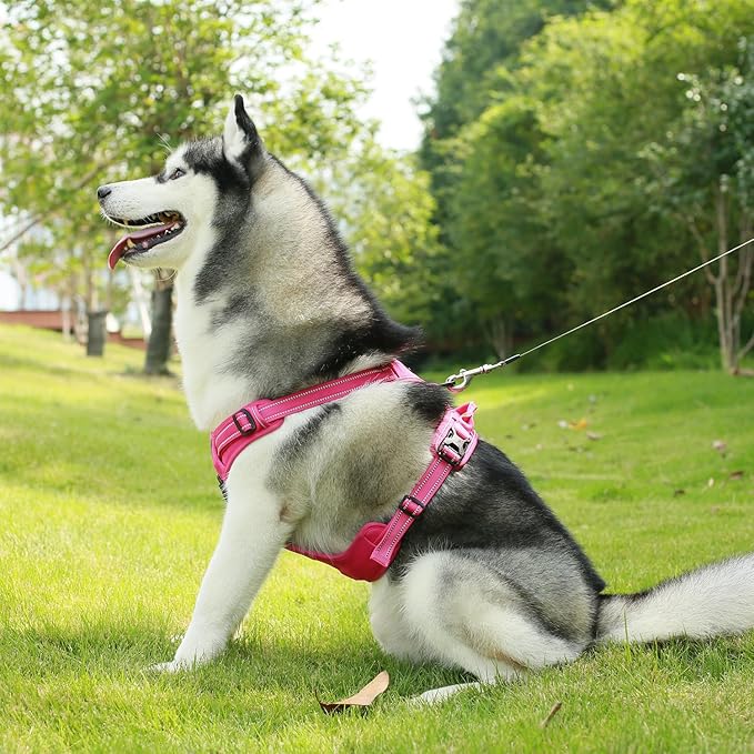 Dog Harness Dual Leash Attachment No-Pull Control Adjustable Soft but Strong Pet Harness for Medium and Large Dogs with 3M Reflective Technology - Harness Leash Set (Fuchsia), L