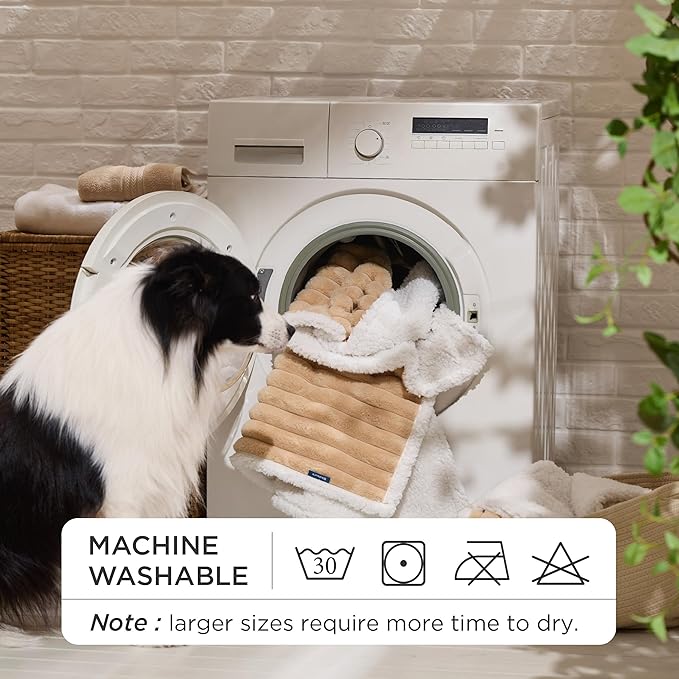 Bedsure Waterproof Dog Blankets for Small Dogs - Soft Puppy Cat Blanket Corduroy Fleece Washable, Cozy Calming Reversible Furniture Protection for Pet Kitten Doggy,25"x35", Tuscan Beige
