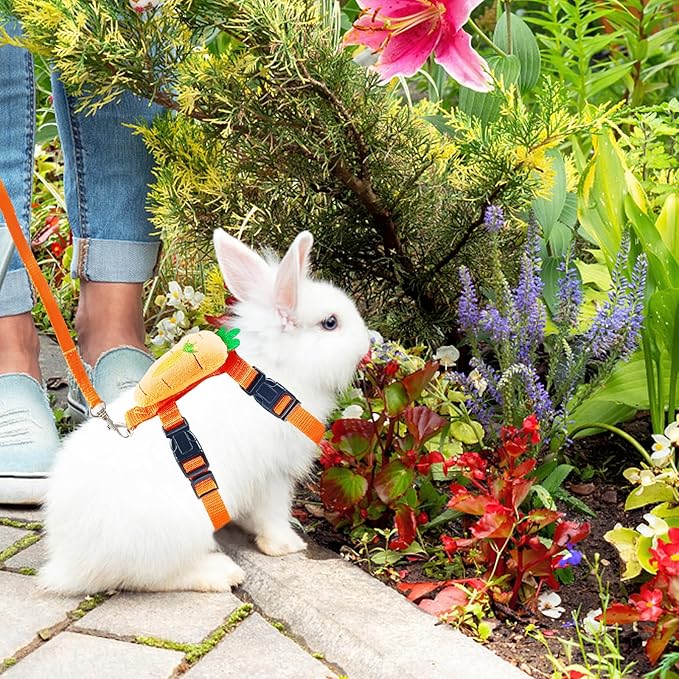 Bunny Harness and Leash for Rabbits,2 Pack Adjustable Bunny Harness,Cute Vest Harness and Leash Set, for Rabbit,Kitten, Puppy, Pig and Small Pet Animals