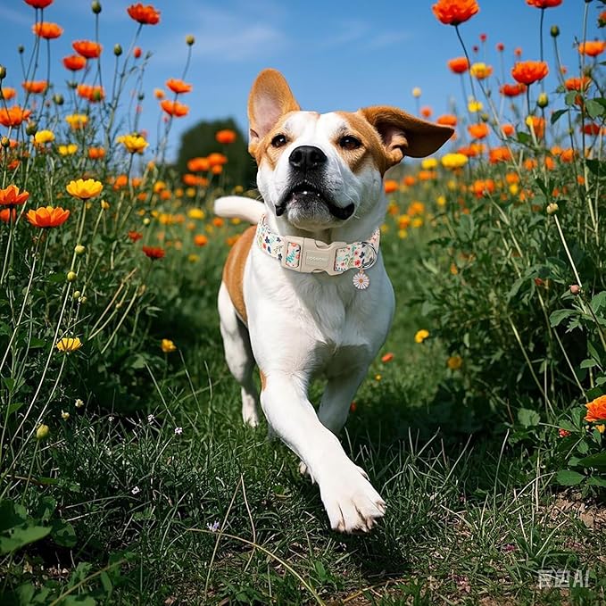 DOGWONG Spring Summer Floral Cotton Dog Collar, Pink Flower Dog Collar Durable Soft Fabric Pet Dog Collars Cute Girl Female Puppy Necklace for Small Medium Large Dogs