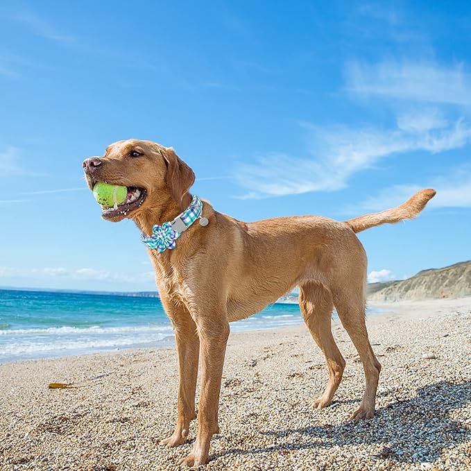Dog Collar with Flower, Comfortable Durable Cotton Flower Collar for Girl Boy Dog or Cat, Adorable Puppy Collar with Metal Buckle, Blue Grid Gift Collar, XS