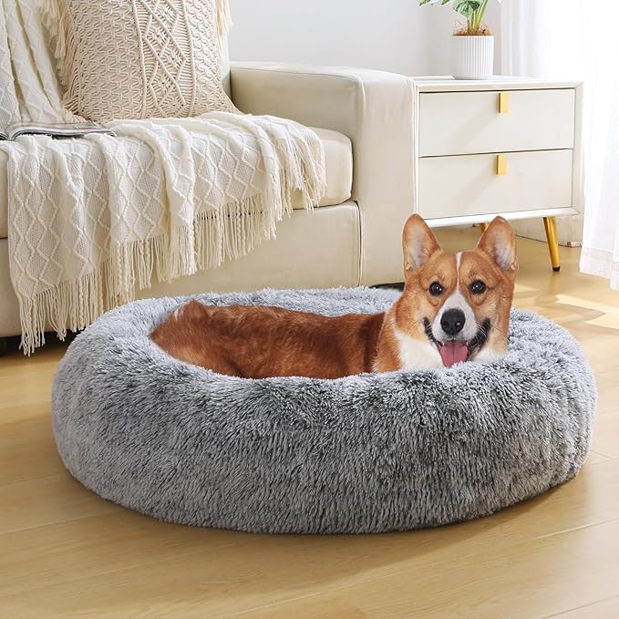 JOLLYVOGUE Dog & Cat Bed, Calming Anti-Anxiety Pet Bed for Small Dogs, Fluffy Donut Cushion for Small and Medium Pets (24")