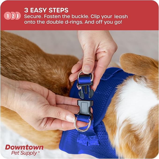Downtown Pet Supply Step in Dog Harness for Small Dogs No Pull, Medium, Blue - Adjustable Harness with Padded Mesh Fabric and Reflective Trim - Buckle Strap Harness for Dogs