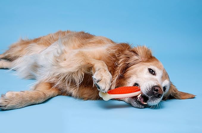 Hartz Chew 'n Clean Tuff Bone Tough Dog Chew Toy, Large 3 Pack