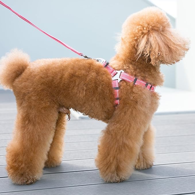 EXCELLENT ELITE SPANKER No Pull Dog Harness Adjustable Nylon Step-in Easy Pet Vest Chest Strap with Reflective and Leash Ring for Small Medium Large Breed Dogs Training Walking(Light Blue-L)