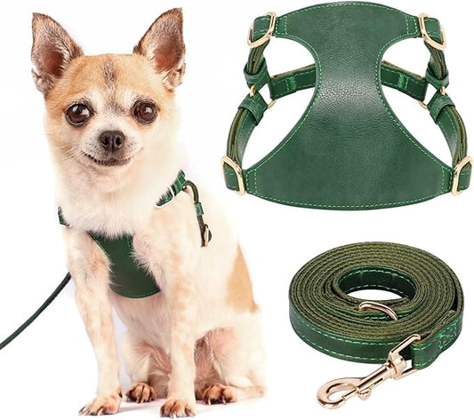 Didog Small Dog Harness and Leash Set, Soft & Lightweight Dog Vest Harness, Adjustable Leather Dog Harness for Small Medium Dogs, Green, M