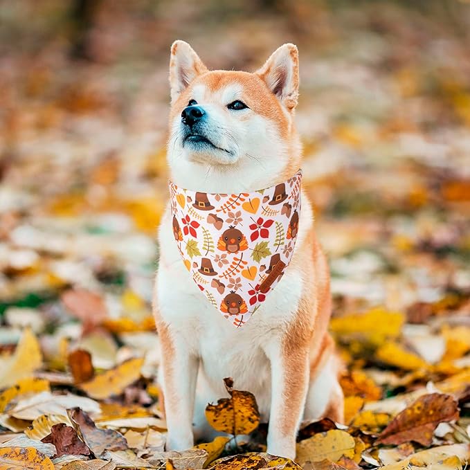 ADOGGYGO Thanksgiving Dog Bandana, Pumpkin Turkey Pet Scarf, Multi Size Offered, Fall Autumn Leaves Thanksgiving Bandanas for Medium Large Dogs Pets (Large)