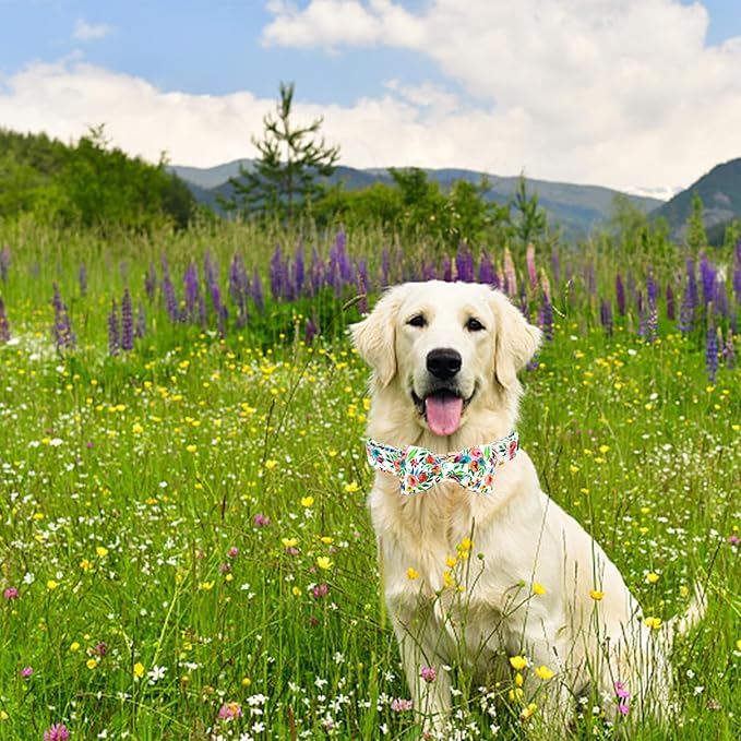 Dog Collar Flowers Print Pet Collar Soft Cute Dog Collar with Bow Tie Adjustable Metal Buckle Collar Gift Collar for Small Dogs
