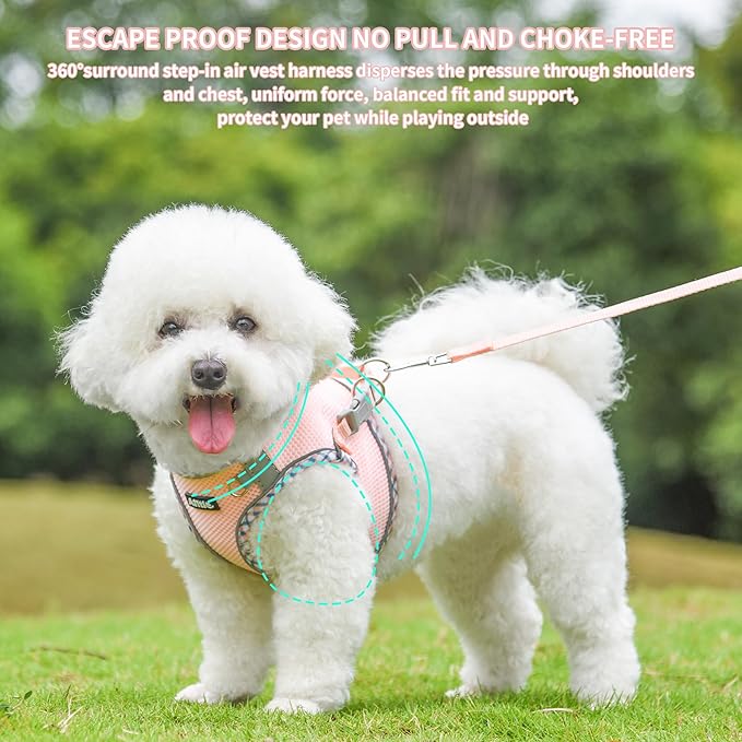 AIITLE Dog Harness and Leash Set - Ultra-Comfortable XXS-XL Vest with Strong Velcro & Glow-in-Dark Reflective Strips, Chafe-Free for Teddy, Schnauzer (Pink, M)