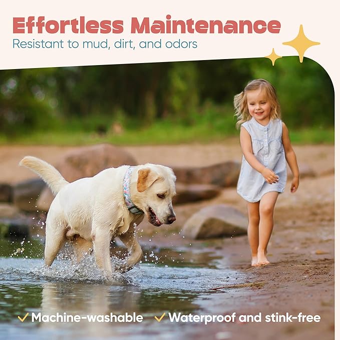 Dog Collar for Medium & Large Dogs - Rose Flowers Cotton Padded Pattern on Long Lasting, Adjustable, Strong and Durable Collars - Choose from Stunning Patterns and Colors