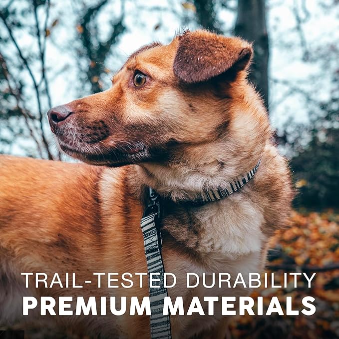 Embark Adventure Dog Collar – Stylish & Durable Nylon Dog Collars for Small Dogs, Comfortable Pet Collar, Small Dog Collars for Male & Female Dogs with Strong Buckles. Adjustable Small Dog Collars