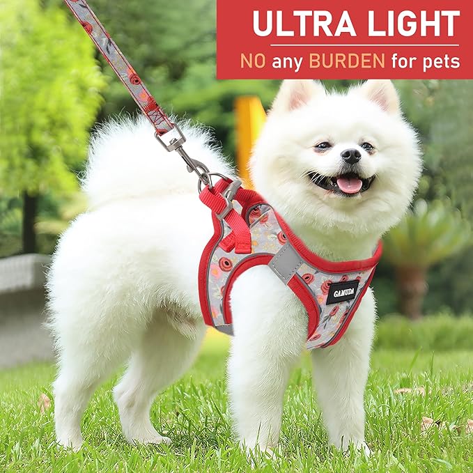 GAMUDA Small Dog Harness Collar and Leash Set, Step in No Chock No Pull Soft Mesh Adjustable Dog Vest Harnesses Plaid Reflective for Dogs Puppy Cats Kitten Rabbit (Red Flower, M)