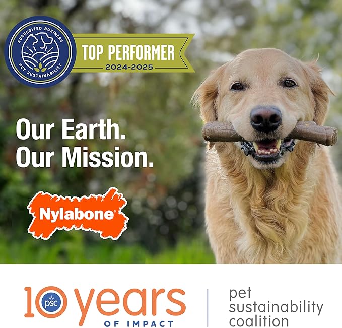 Nylabone Nubz Natural Edible Dog Chew Treats for Small Dogs, Long Lasting Dog Bones Made in USA, Chicken Flavor Dental Chews, for Dogs Up to 25 lbs. (8 Count)