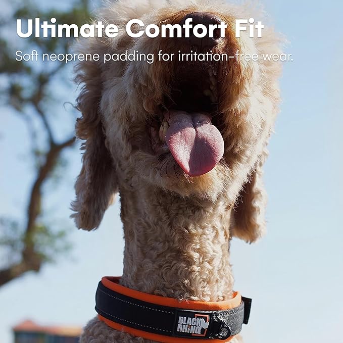 Black Rhino - The Comfort Collar Ultra Soft Neoprene Padded Dog Collar for All Breeds - Heavy Duty Adjustable Reflective Weatherproof (Small, Orange/Bl)