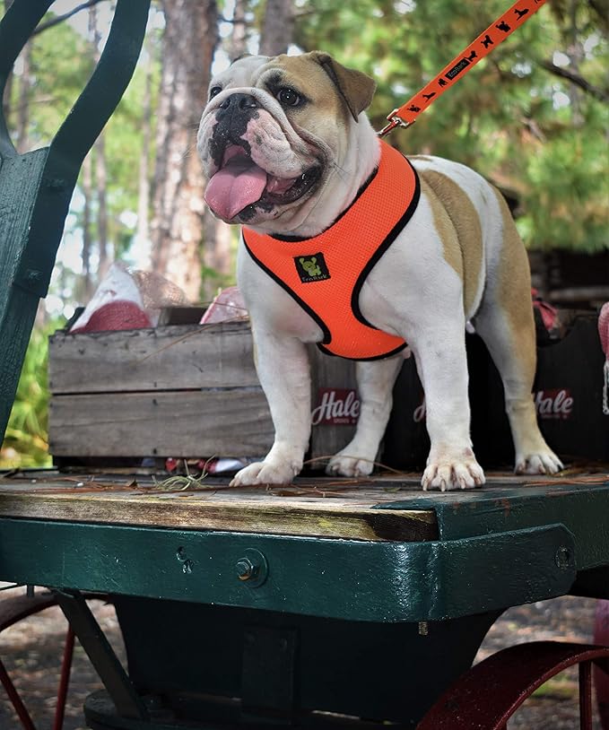 EcoBark Dog Harness - Luxurious Soft Mesh - Eco-Friendly Over The Head Vest Harness - No Pull & No Choke Design - Padded Breathable Body Halter - Large Puppies & Medium Breeds (XL, Orange)