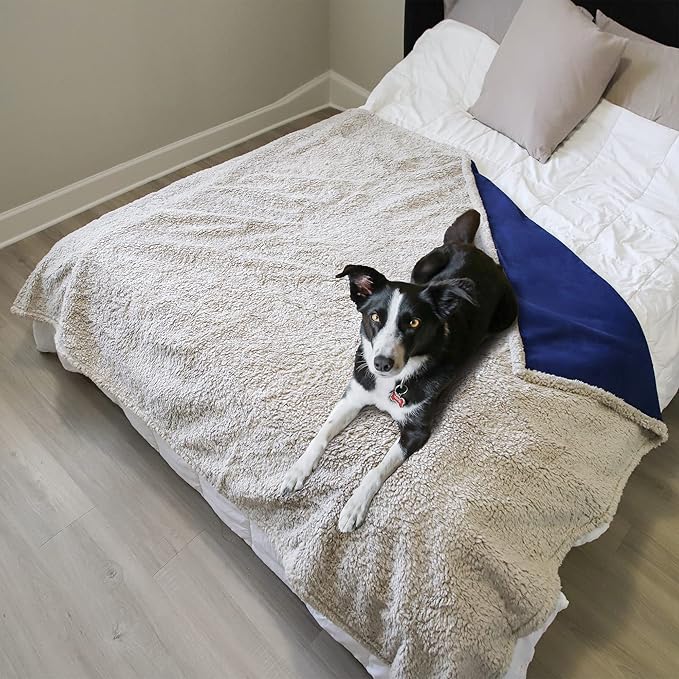 Kritter Planet Large Waterproof Bed Blanket for Intimacy, King Size Love Couples Bed Cover Leakproof, Reversible Protector Furniture Couch Cover for Dogs Pets, Washable, Stain Proof, Hair Resistant
