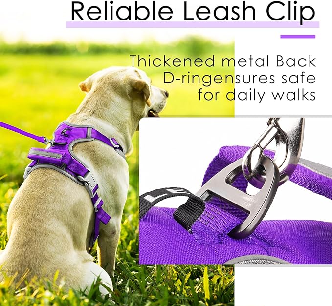 ThinkPet No Pull Harness Set Breathable Sport Harness with Handle - Reflective Padded Dog Safety Vest with Reflective Neon Dog Leash S Harness Leash Pack Purple