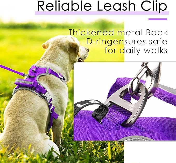 ThinkPet No Pull Harness Set Breathable Sport Harness with Handle - Reflective Padded Dog Safety Vest with Reflective Neon Dog Leash XL Harness Leash Pack Purple