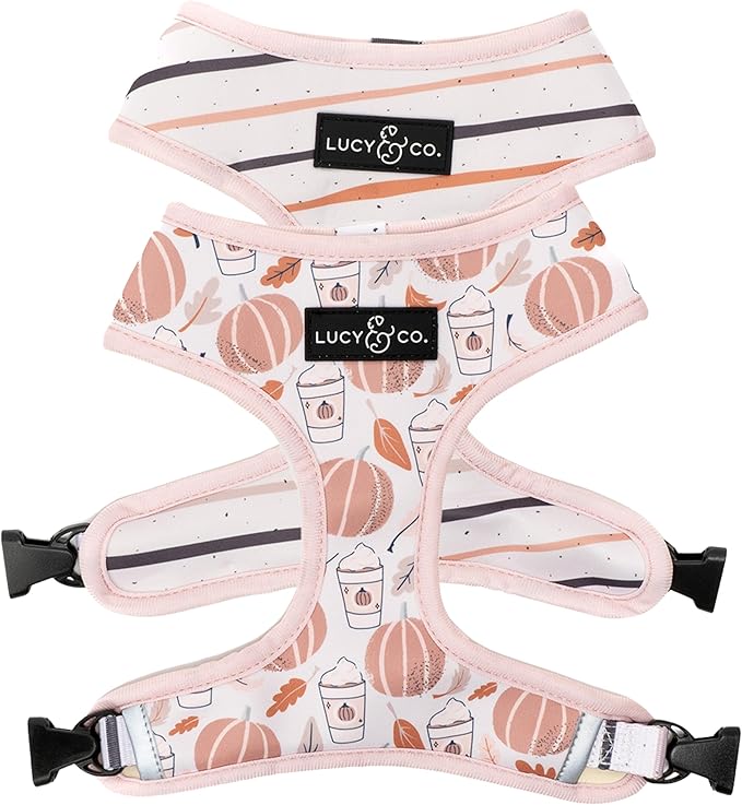 Lucy & Co. Cute Reversible Dog Harness Walking Halter - Best Designer Pet Harnesses for XS - XL Dogs - Padded Adjustable Vest for Easy Walking (Large, Awesomely Autumn - White & Orange Pumpkins)