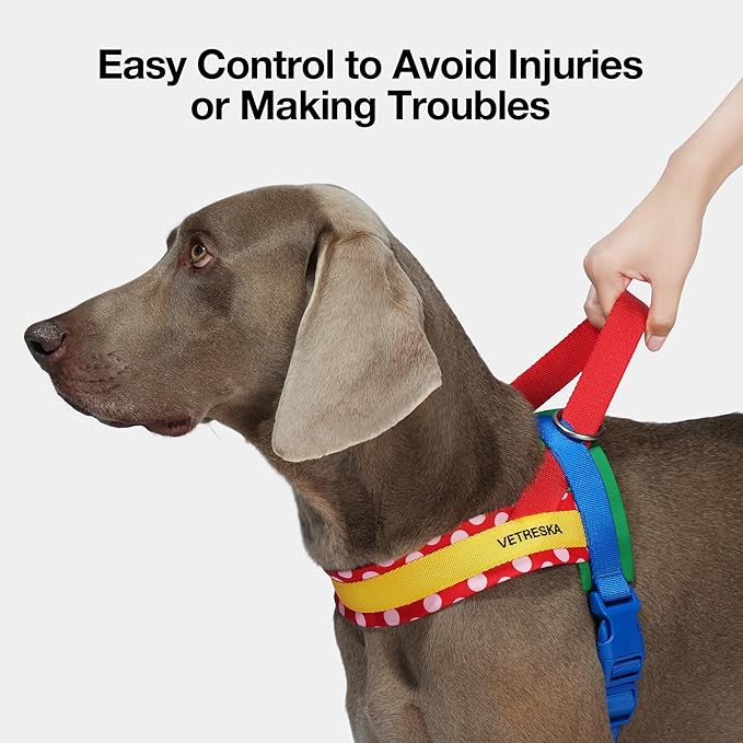 VETRESKA MoMA Dog Harness and Leash Set, Easy Walk Dog Harness for Small Medium Dogs, No Pull Puppy Harness for Walking and Training, Adjustable, Take Control & Anti-Twist Pet Lead Combo(Red, XS)