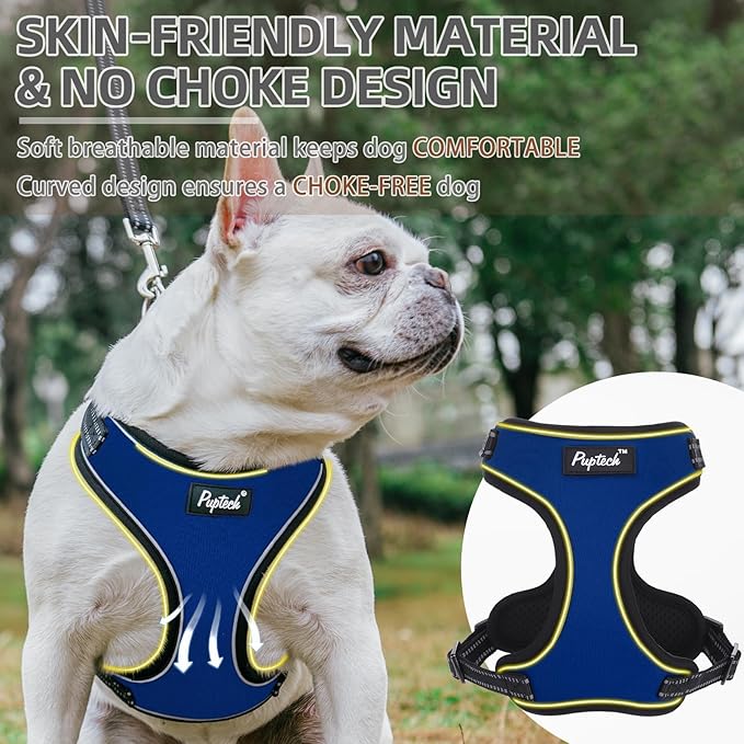 PUPTECK Dog Harness and Leash Set for Small Medium Sized Dogs, No Pull Dog Harness for Walking Training, Adjustable Reflective Puppy French Bulldog Frenchie Harness Soft Padded Vest, Blue, M
