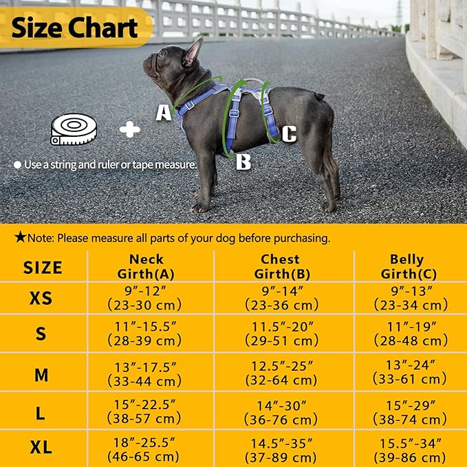 Escape Proof Dog Harness, No Pull Reflective Harness with Lift Handle, Adjustable Pet Vest with Front and Back Leash Clips for Small Medium Large Dogs Walking Hiking Training (Vista Blue,L)