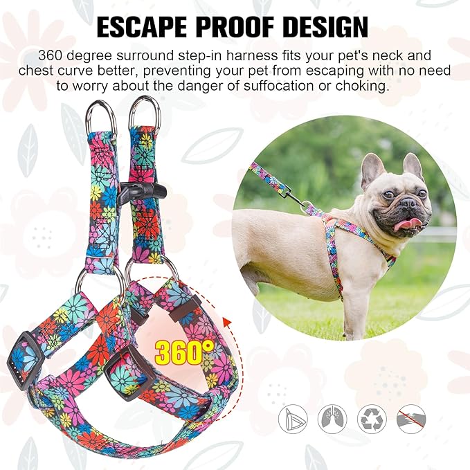 BEAUTYZOO No Pull Dog Harness and Leash Set - Adjustable Step-in Puppy Harness for Small Medium Large Dogs, Escape Proof Soft Nylon Vest with Double D Ring for Walking Running Training, L